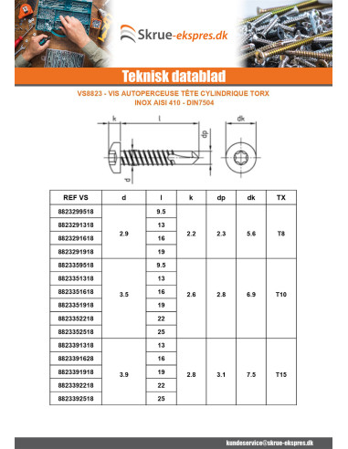 1 x Selvborende skrue panhoved 5,5X100 T25...