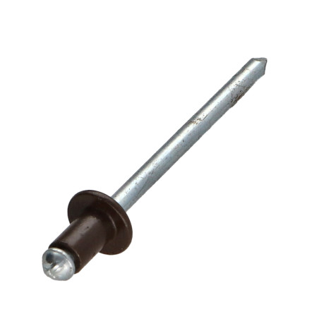1 x Blindnitter Aluminium Tiger stål 4X6 Tykkelse stramning 0,5A 2 Standard rund hoved RAL8014 sepia brun