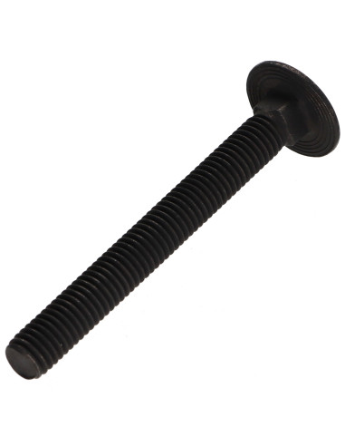 1 x Vognbolt Rustfrit stål A2 M8X80 Sort delvis...