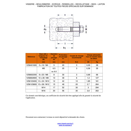 1 x Plug Messing 12X34 M10