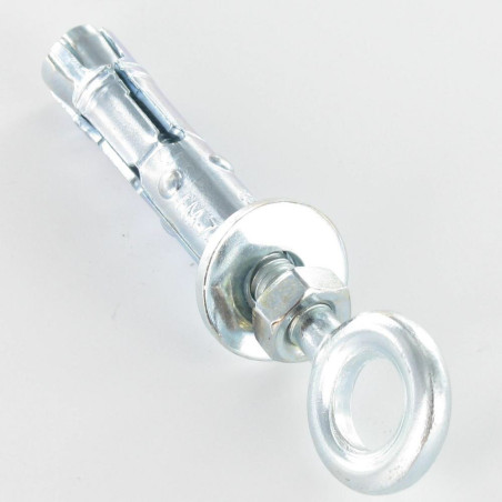 1 x Plug Anker med øje skrue M6 10X40 elforzinket stål