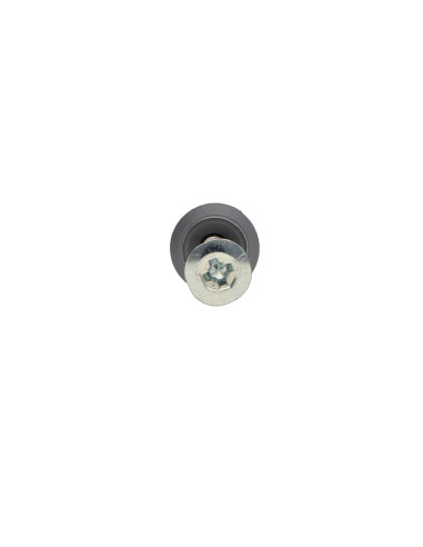 1 x Plug Søm Skrue fladt hoved stor serie 6X40