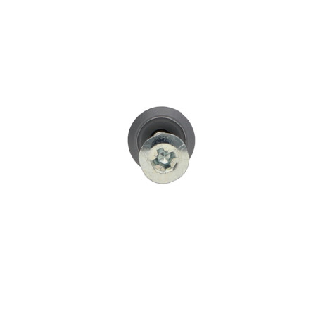 1 x Plug Søm Skrue fladt hoved stor serie 6X40