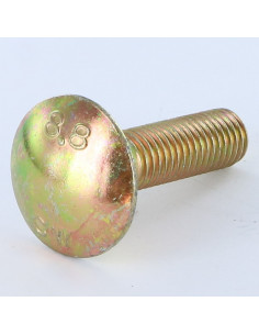 Vognbolt M10X20 Fuld trÃ¥d gul zink