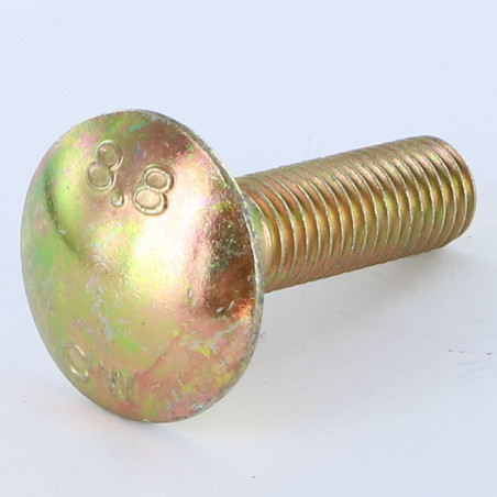 1 x Vognbolt M10X20 Fuld trÃ¥d gul zink
