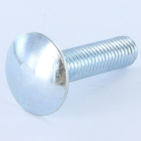 1 x Vognbolt M10X20 Fuld trÃ¥d Klasse 8.8 elforzinket stål
