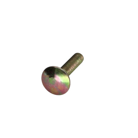 1 x Vognbolt M5X22 Fuld trÃ¥d COLCAR 6 gul zink