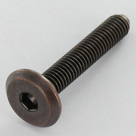 1 x Vis m taux t te plade Sekskantet fatning 4 M6X60 bronze stål